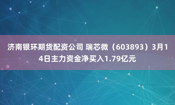济南银环期货配资公司 瑞芯微（603893）3月14日主力资金净买入1.79亿元