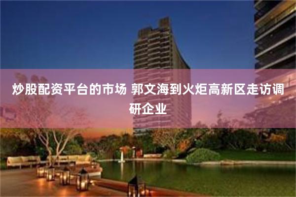 炒股配资平台的市场 郭文海到火炬高新区走访调研企业