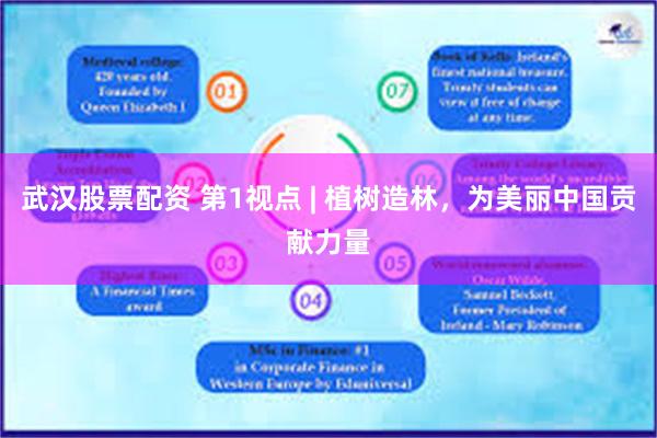 武汉股票配资 第1视点 | 植树造林，为美丽中国贡献力量