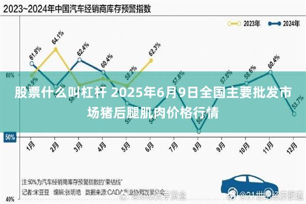 股票什么叫杠杆 2025年6月9日全国主要批发市场猪后腿肌肉价格行情