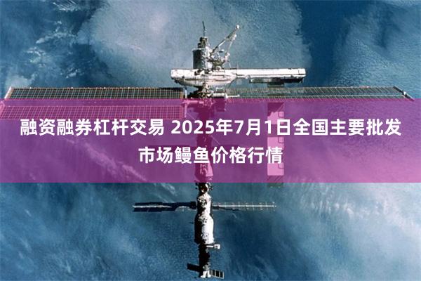 融资融券杠杆交易 2025年7月1日全国主要批发市场鳗鱼价格行情